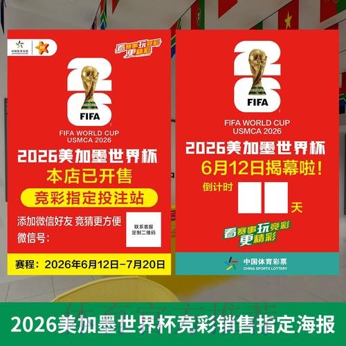 2026世界杯投注策略：投注组合与资金风险管控